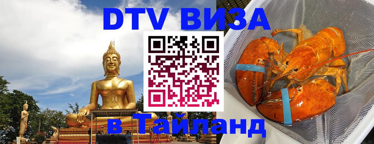 Оформление DTV визы под ключ: стоимость и тарифы, только загранпаспорт - 06.10.2025 